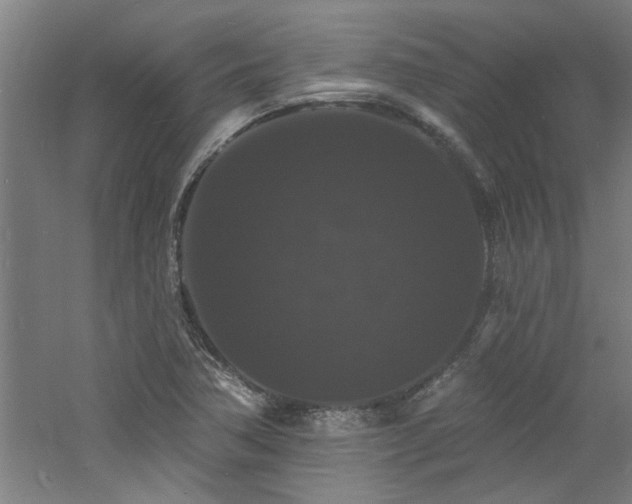 X0000060791362200511101407