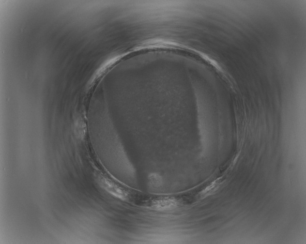 X0000060791363200511101407