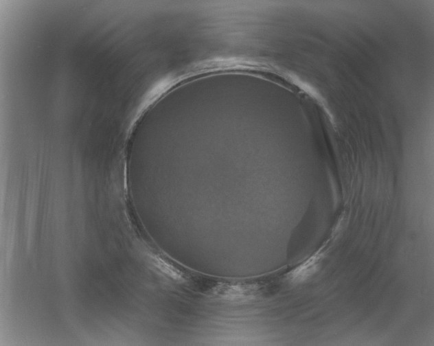 X0000060791365200511101407