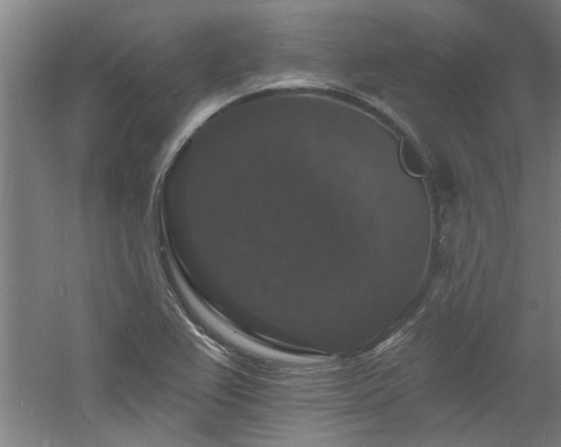 X0000060791367200511101407