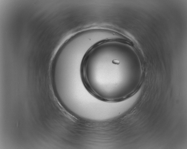 X0000060791368200511101407