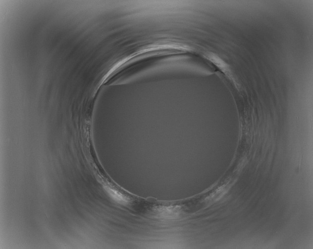 X0000060791369200511101407