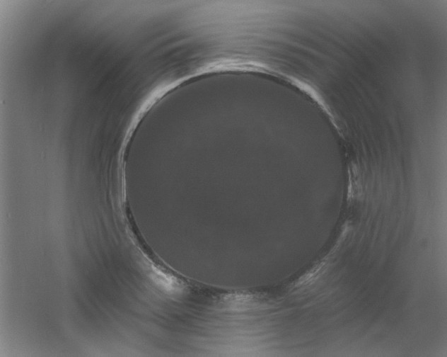 X0000060791371200511101407