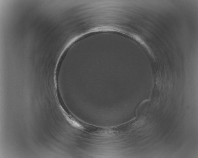 X0000060791372200511101407