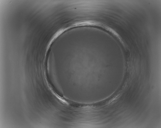 X0000060791373200511101407