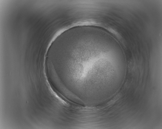 X0000060791374200511101407