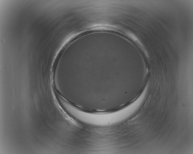 X0000060791376200511101407