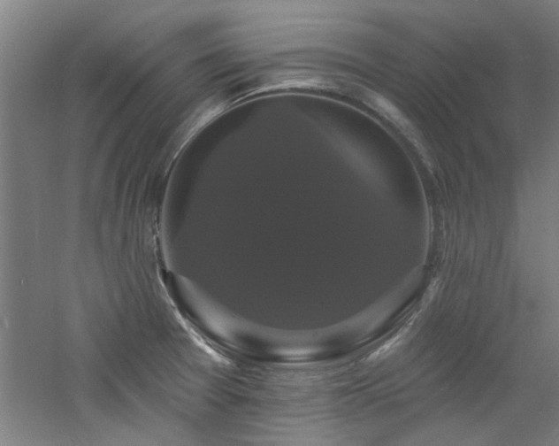 X0000060791377200511101407