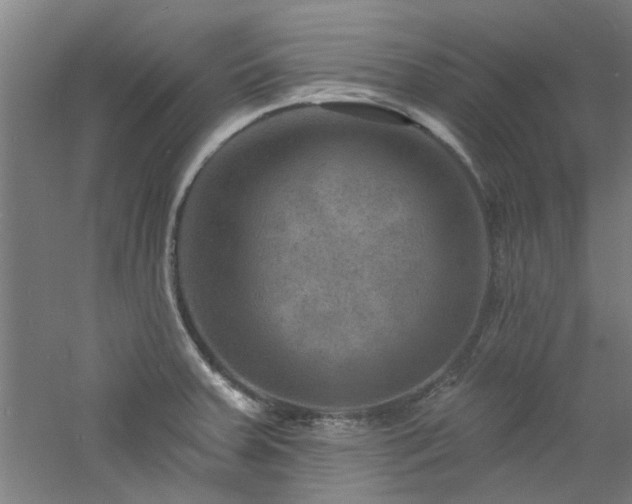 X0000060791379200511101407