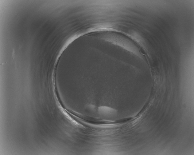 X0000060791382200511101407