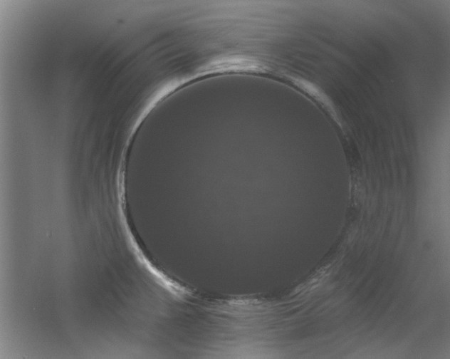 X0000060791383200511101407