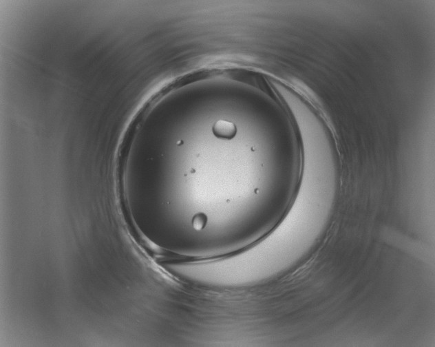 X0000060791384200511101407