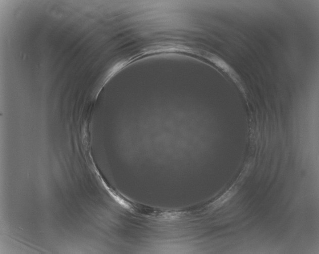 X0000060791385200511101407