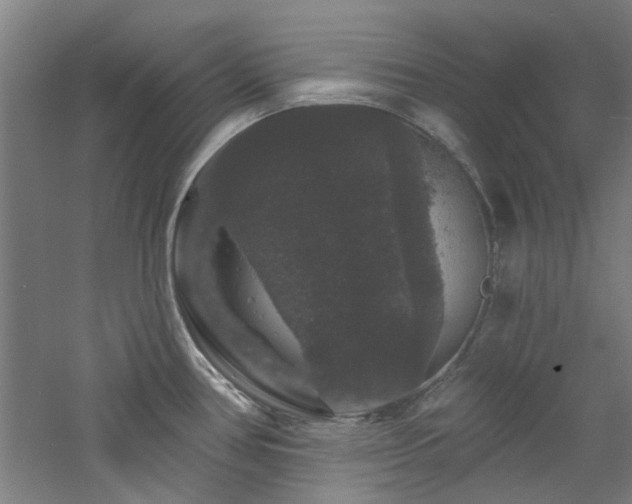 X0000060791386200511101407