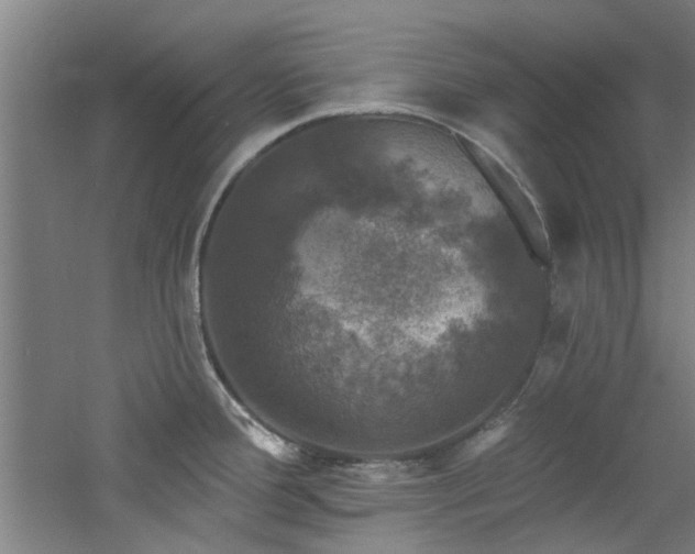 X0000060791388200511101407