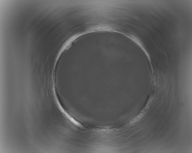 X0000060791389200511101407