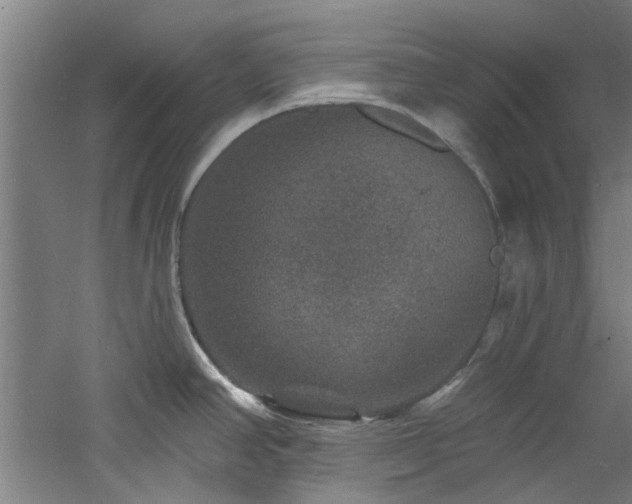 X0000060791390200511101407