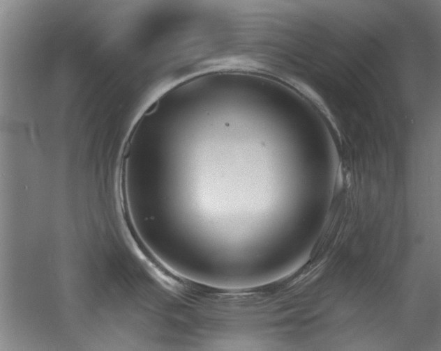 X0000060791391200511101407