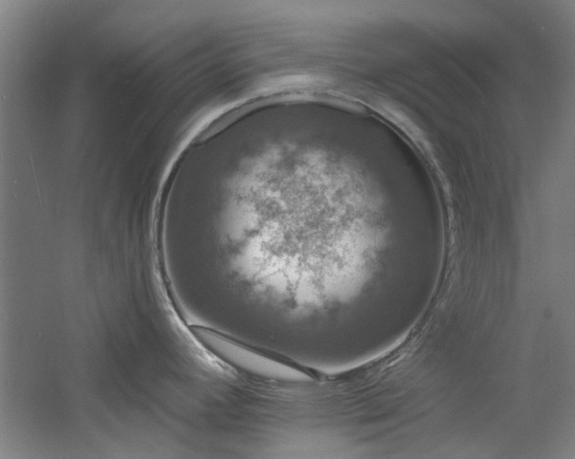 X0000060791392200511101406