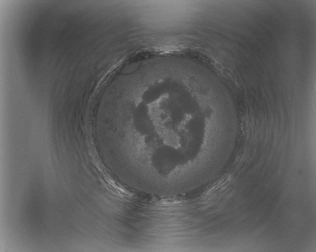 X0000060791393200511101406