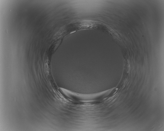 X0000060791394200511101406