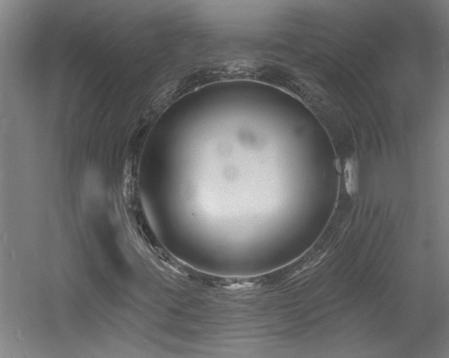 X0000060791395200511101406