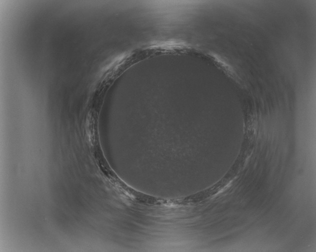 X0000060791398200511101406