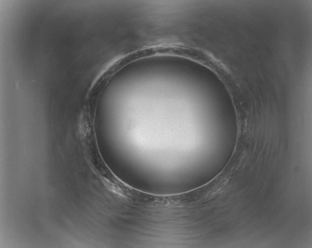 X0000060791400200511101406