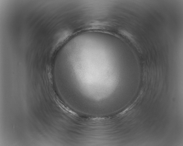 X0000060791403200511101406