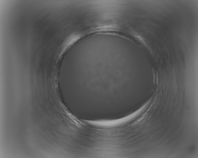 X0000060791405200511101406