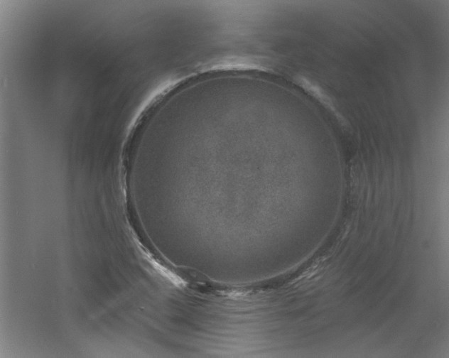 X0000060791408200511101406