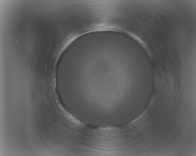 X0000060791415200511101406