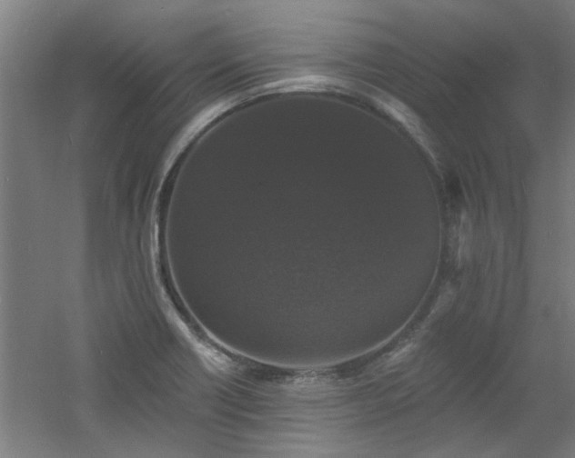 X0000060791418200511101406