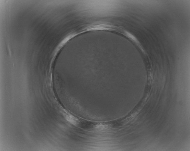 X0000060791419200511101406