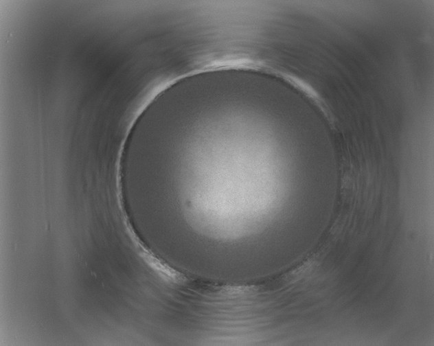 X0000060791423200511101406