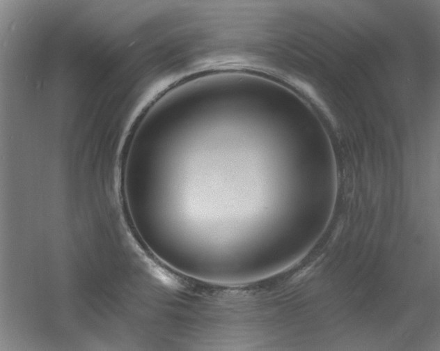 X0000060791424200511101406