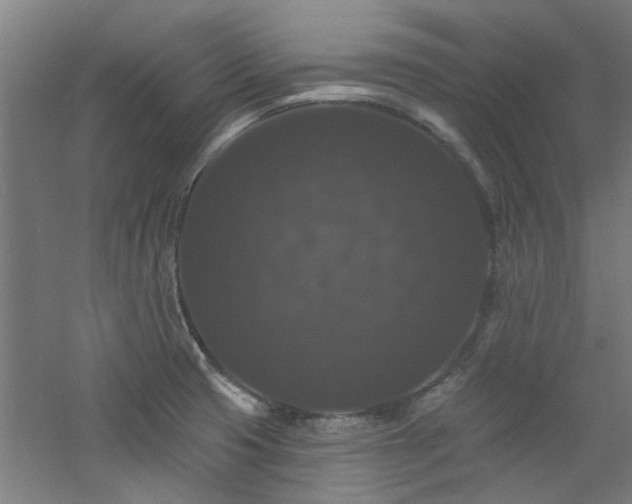 X0000060791425200511101406