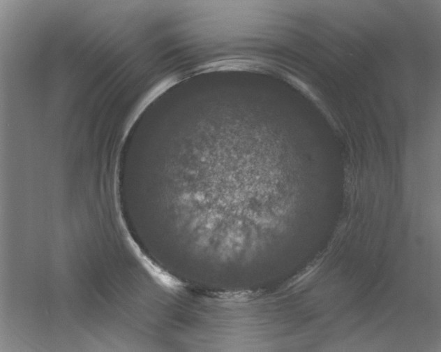 X0000060791426200511101406