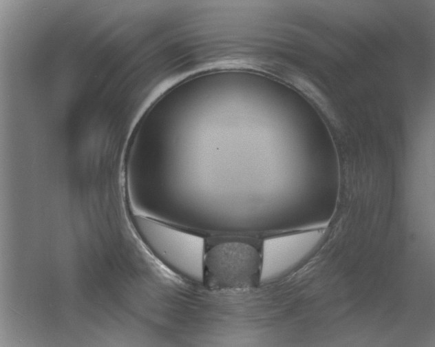 X0000060791428200511101406