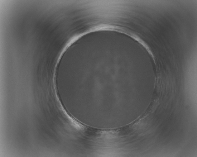 X0000060791429200511101406