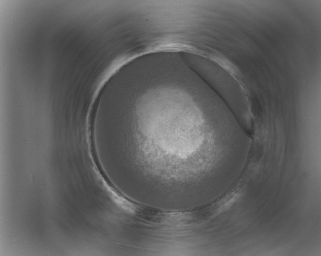 X0000060791430200511101406