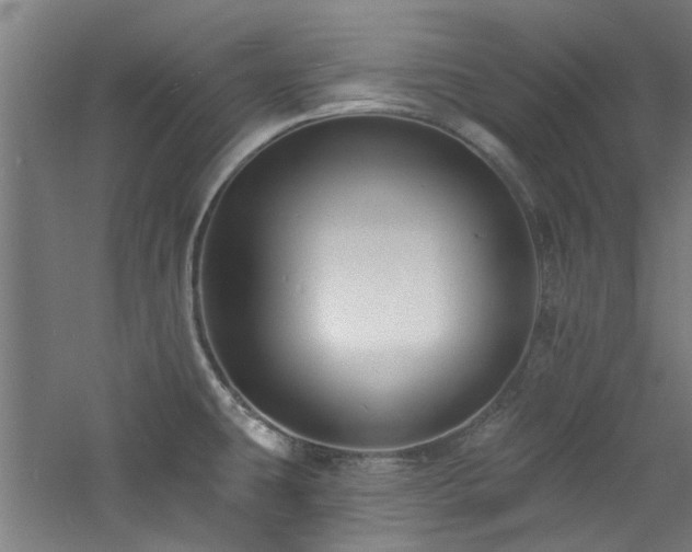 X0000060791431200511101406