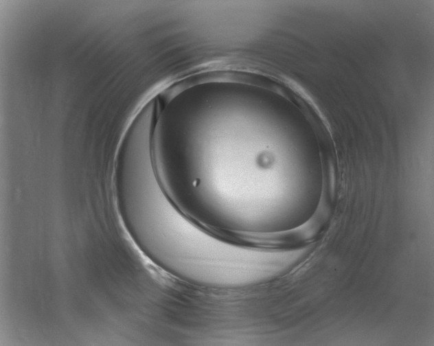 X0000060791434200511101406