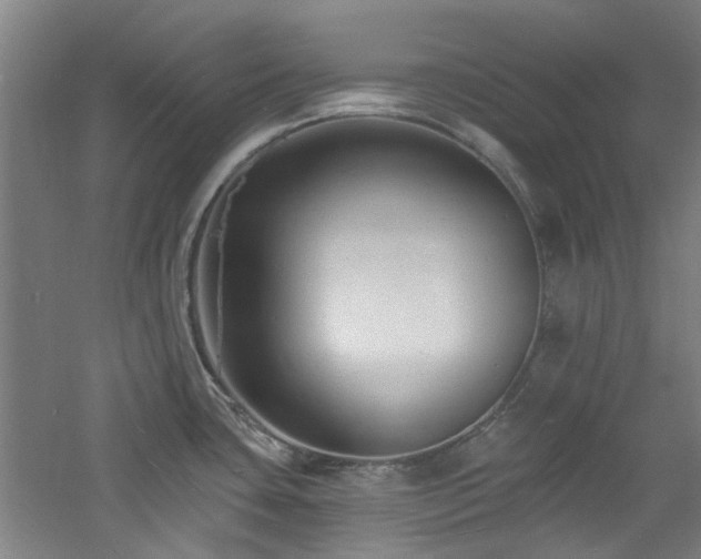 X0000060791435200511101406