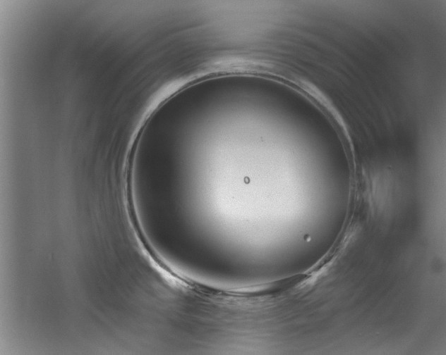 X0000060791437200511101406