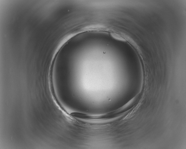 X0000060791440200511101406