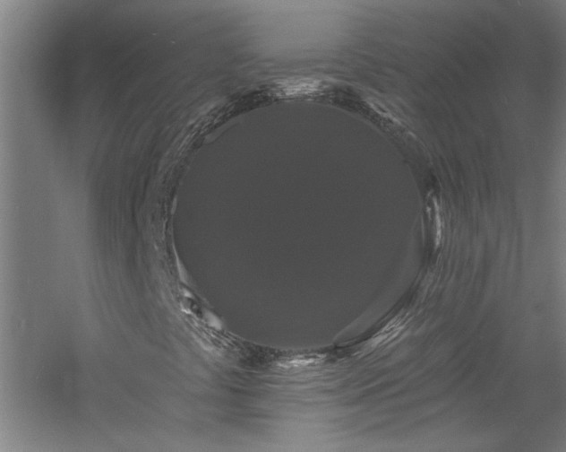 X0000060791441200511101406