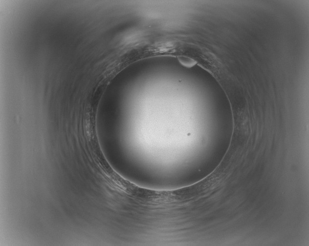 X0000060791442200511101406