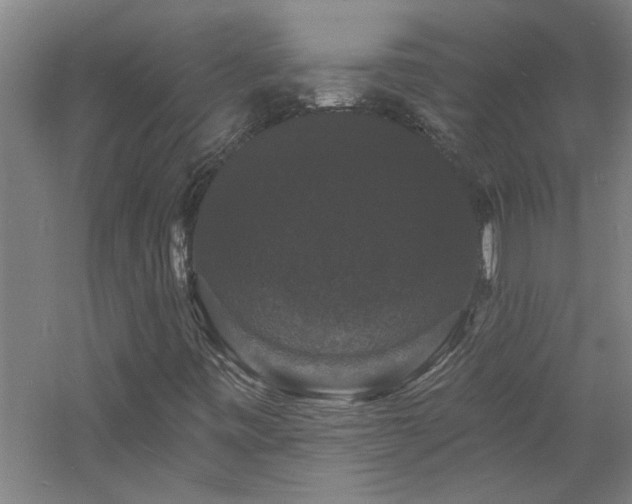 X0000060791443200511101406