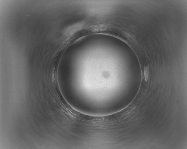 X0000060791444200511101406